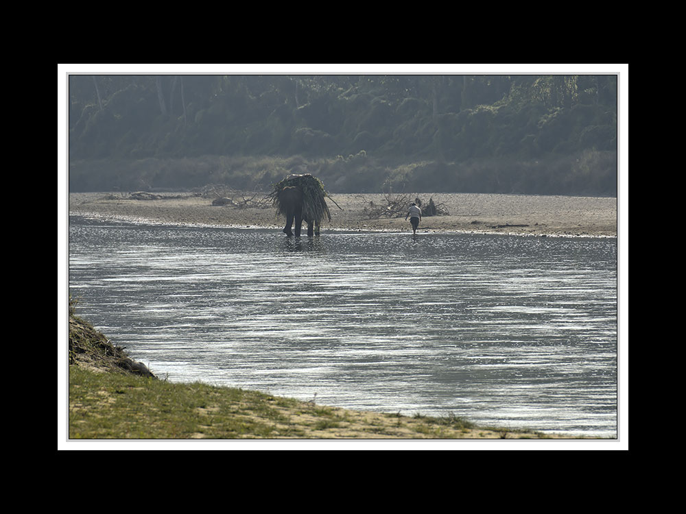 Sauraha-Chitwan 21