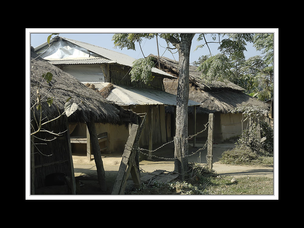 Sauraha-Chitwan 48