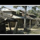 Sauraha-Chitwan 48