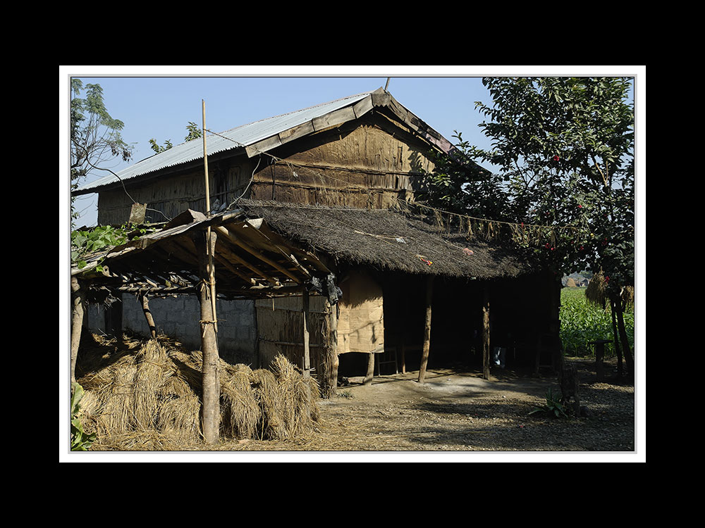 Sauraha-Chitwan 53