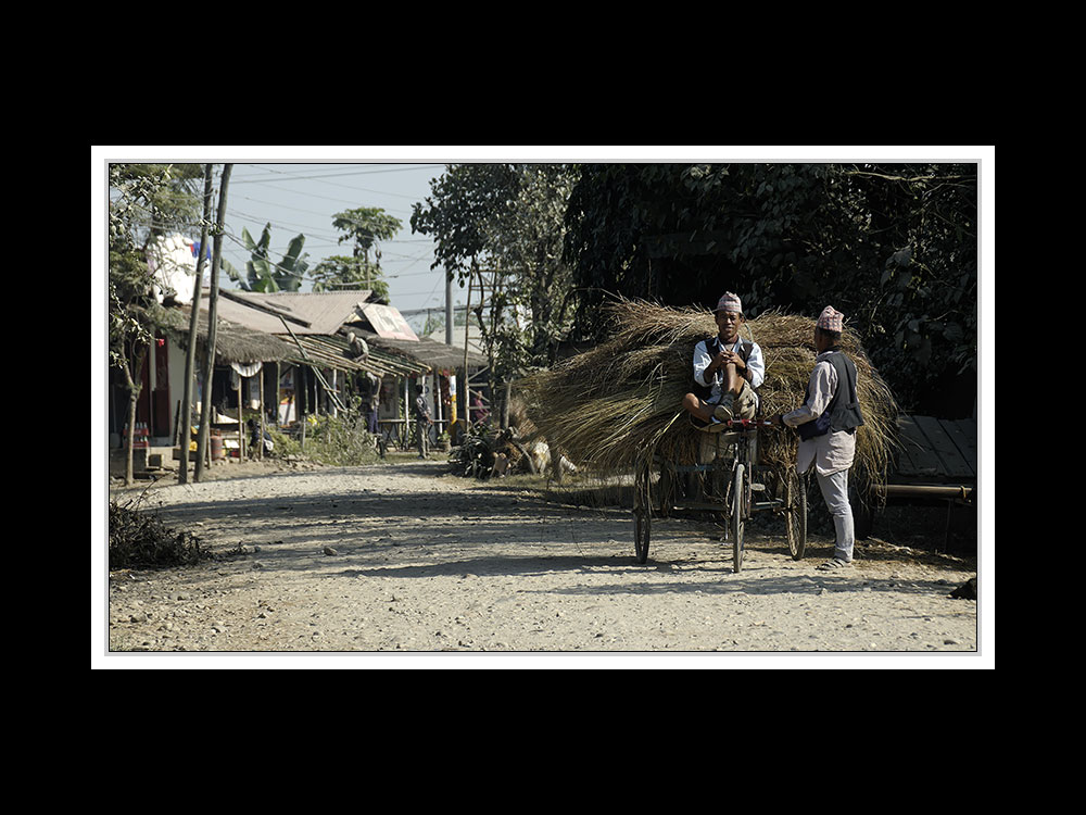 Sauraha-Chitwan 54