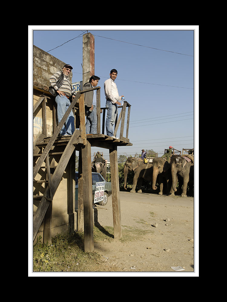 Sauraha-Chitwan 55