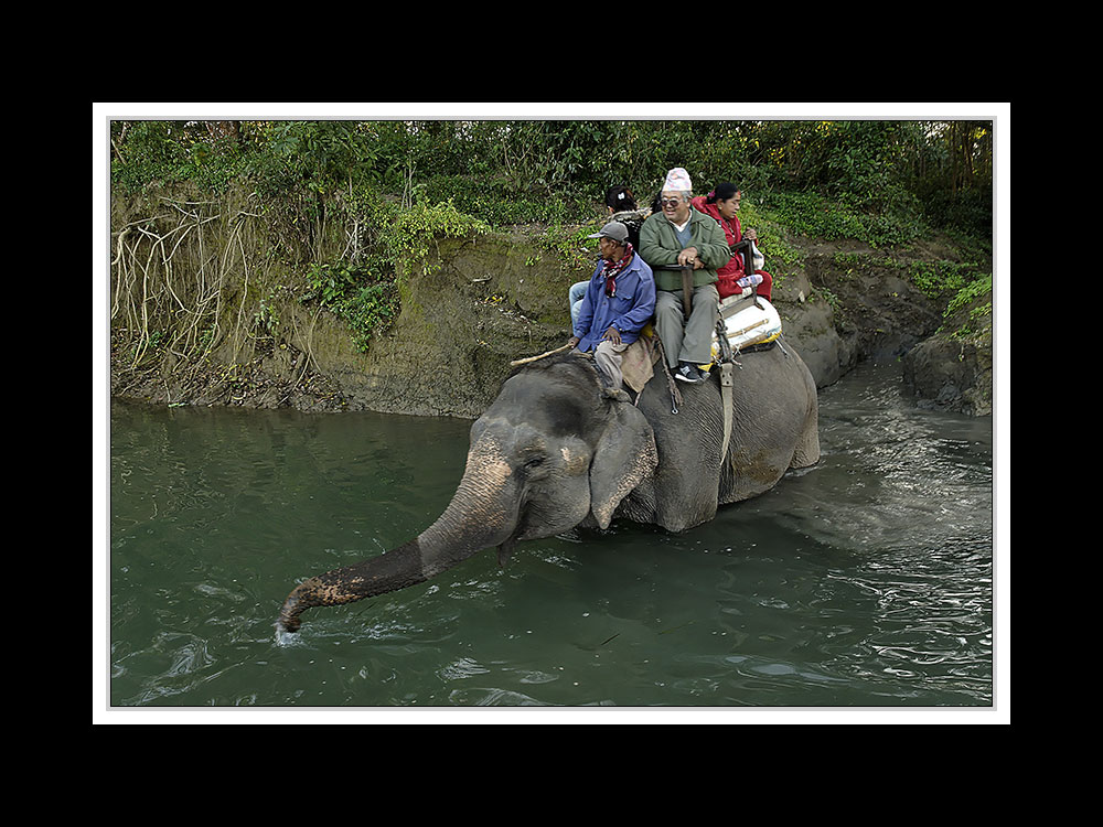 Sauraha-Chitwan 59