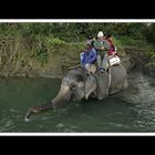 Sauraha-Chitwan 59