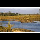 Sauraha-Chitwan 61