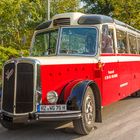 Saurer - Alpen - Bus