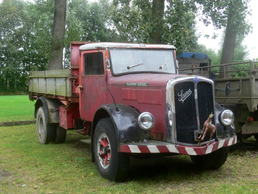 Saurer