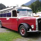 Saurer-Bus