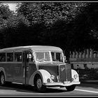 Saurer LC 4 1953