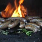 Sausages on the grill