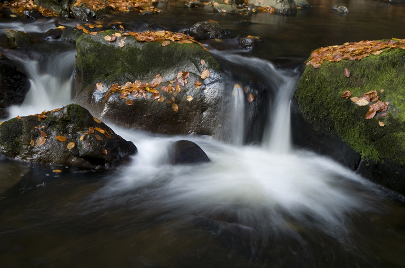 Sausbachtal