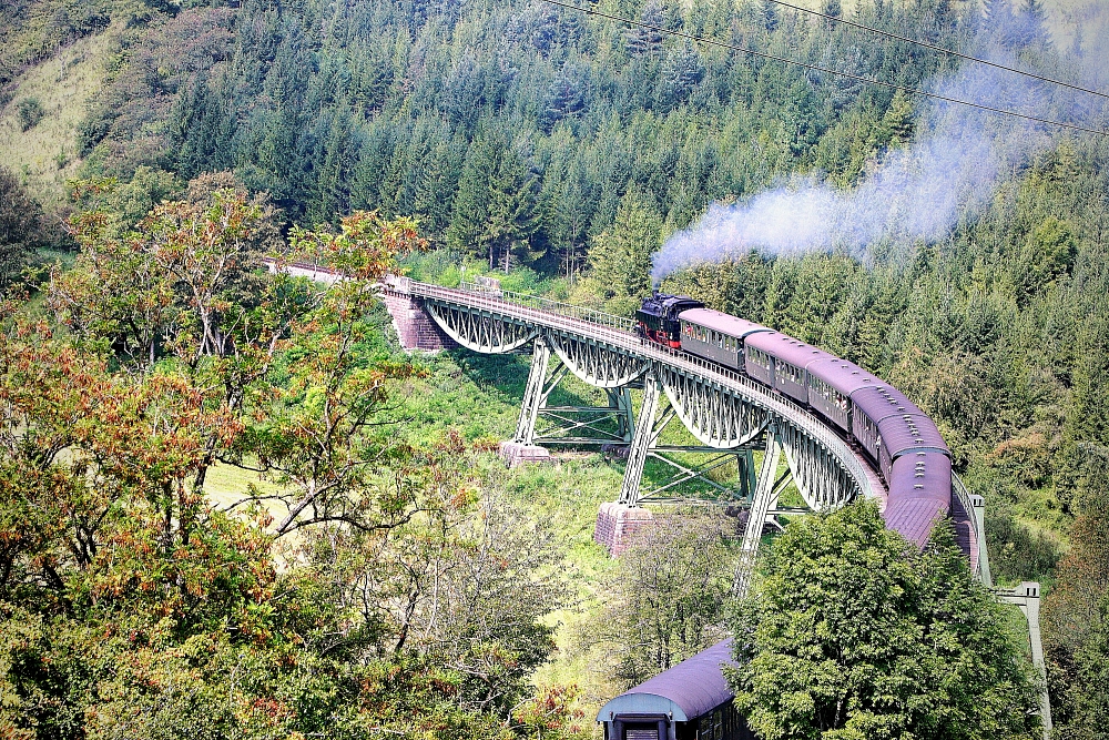 "Sauschwänzlebahn..."