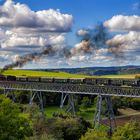 Sauschwänzlebahn - Lok 50 2988.......