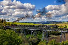 Sauschwänzlebahn - Lok 50 2988.......