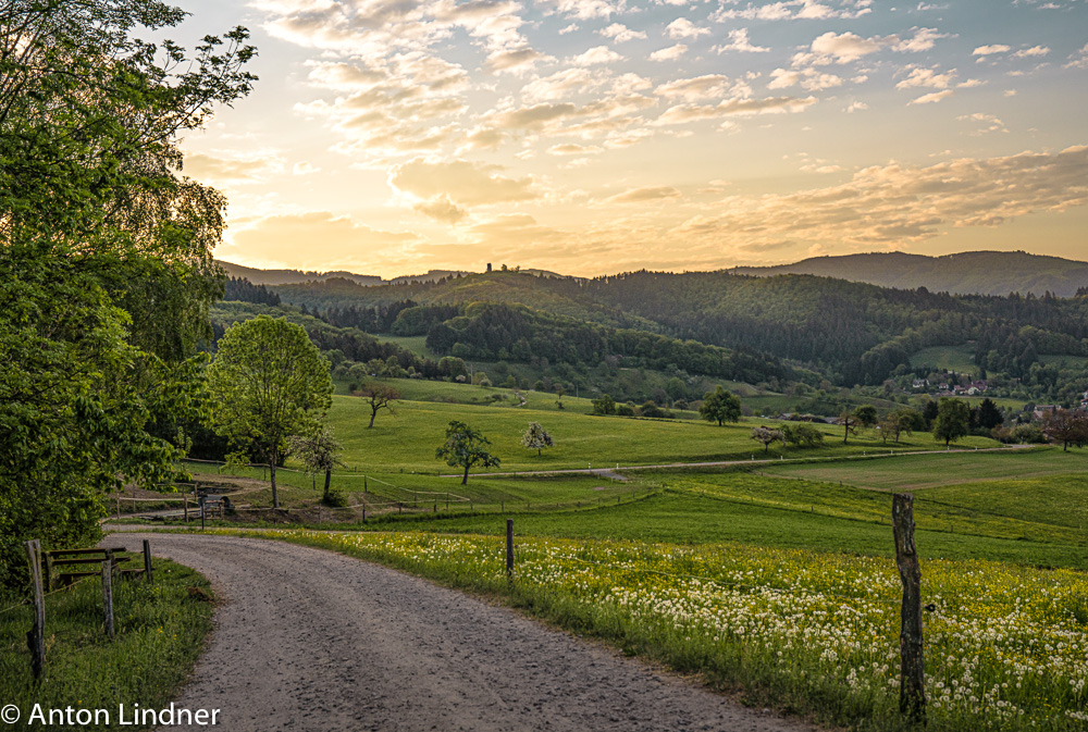 Sausenburg am Morgen