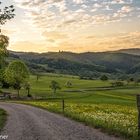 Sausenburg am Morgen