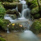 sausende Schlucht