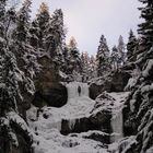 Sausender Graben im Winter