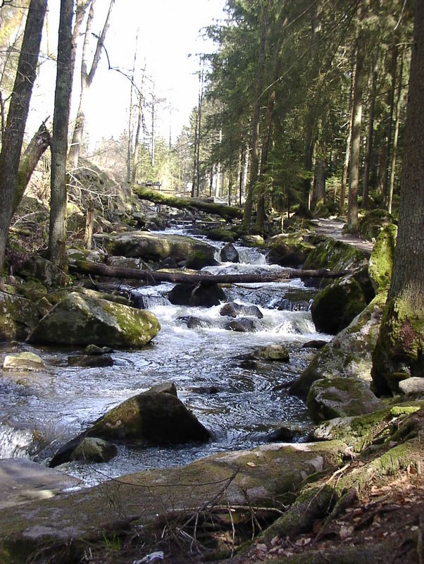 ...saußbach....