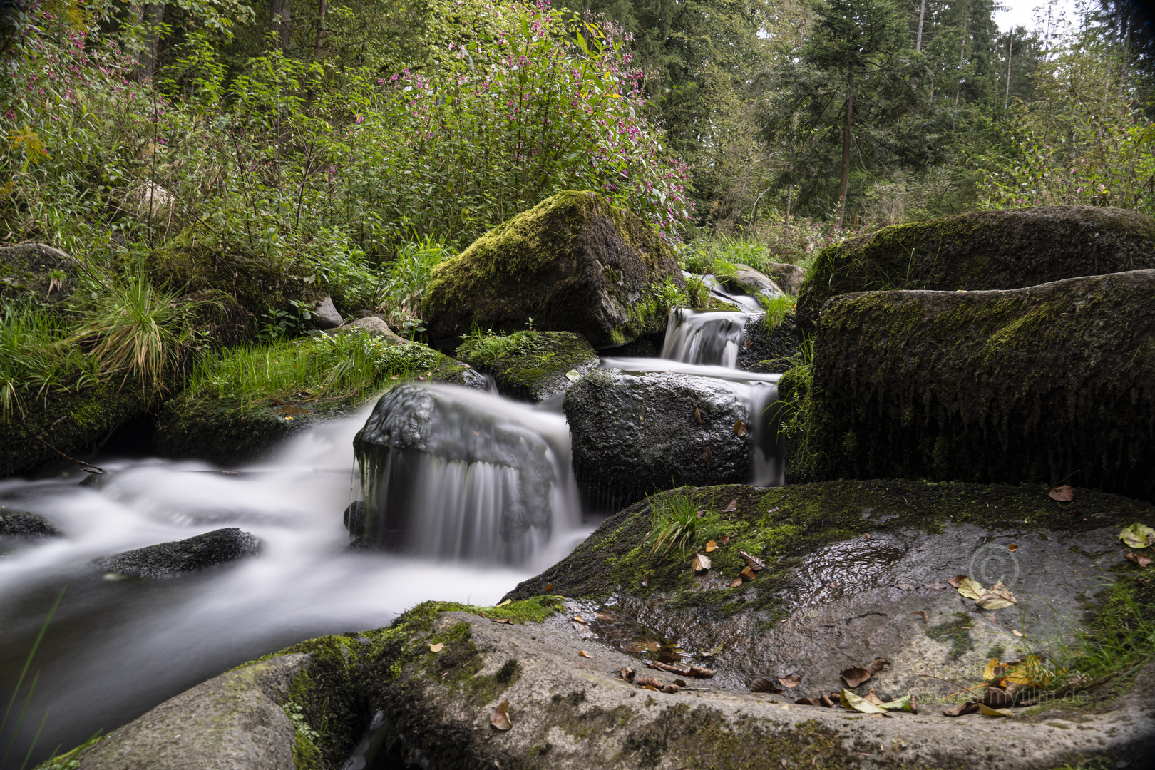 Saußbachklamm-1658