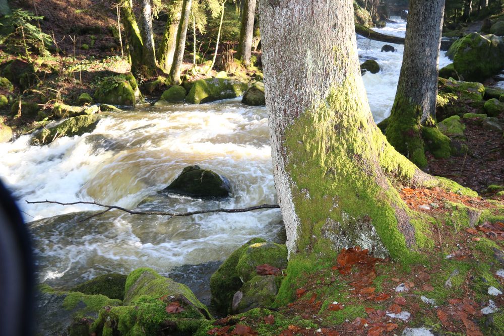 Saußbachklamm 2