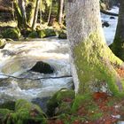 Saußbachklamm 2