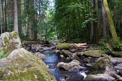 Saußbachklamm