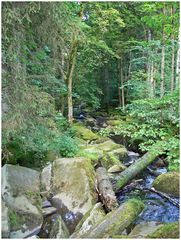 Saußbachklamm