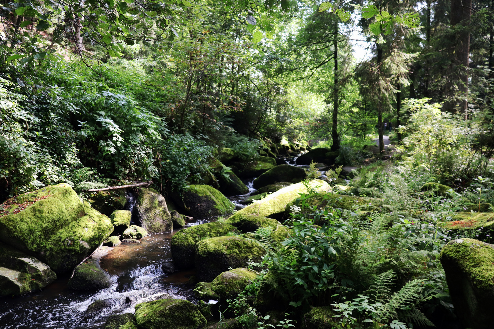 Saußbachklamm