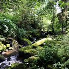 Saußbachklamm