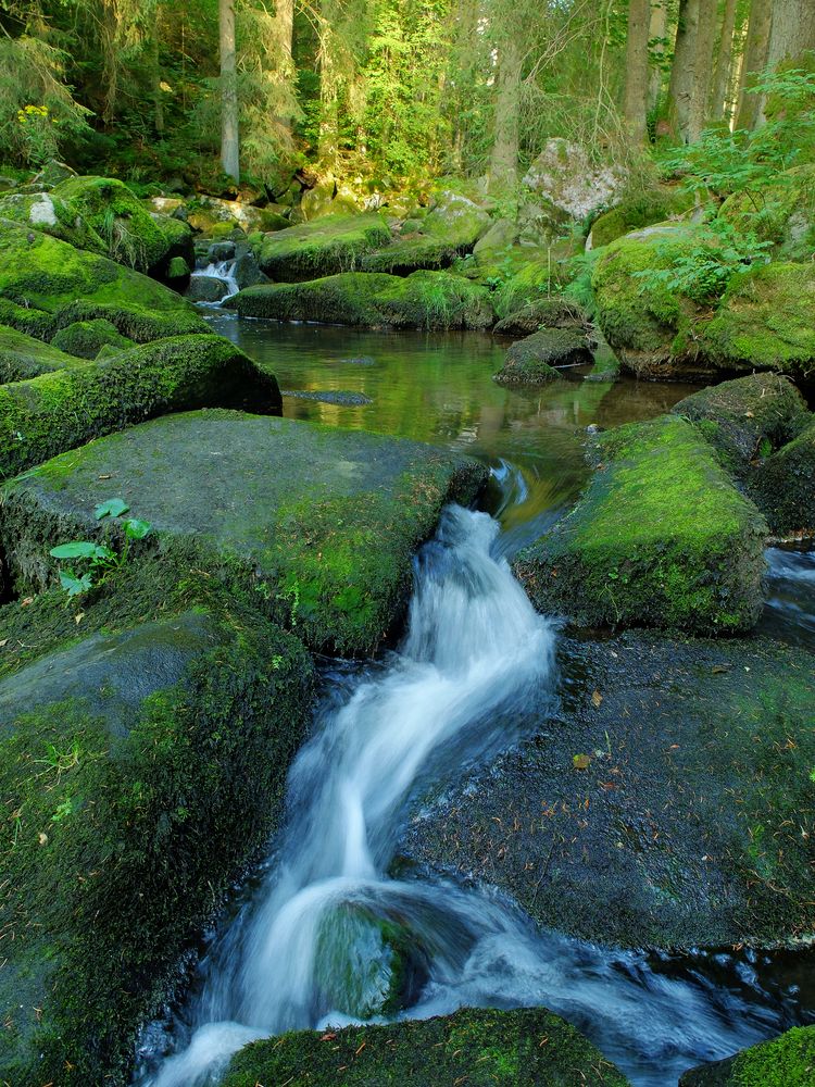 Saußbachklamm