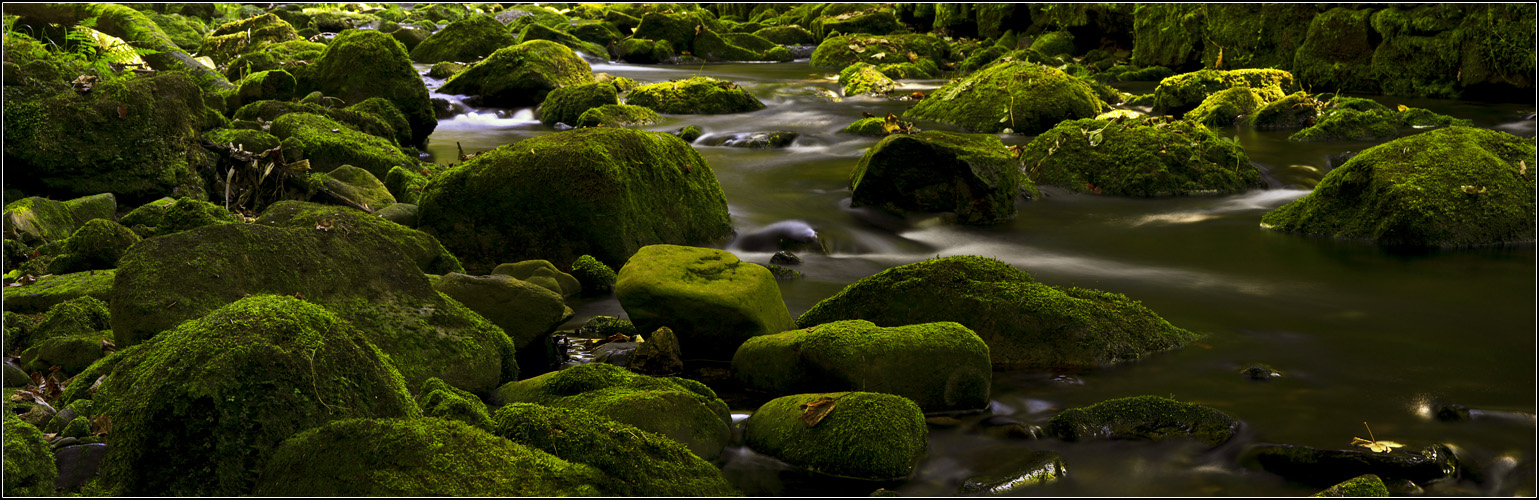 Saußbachklamm