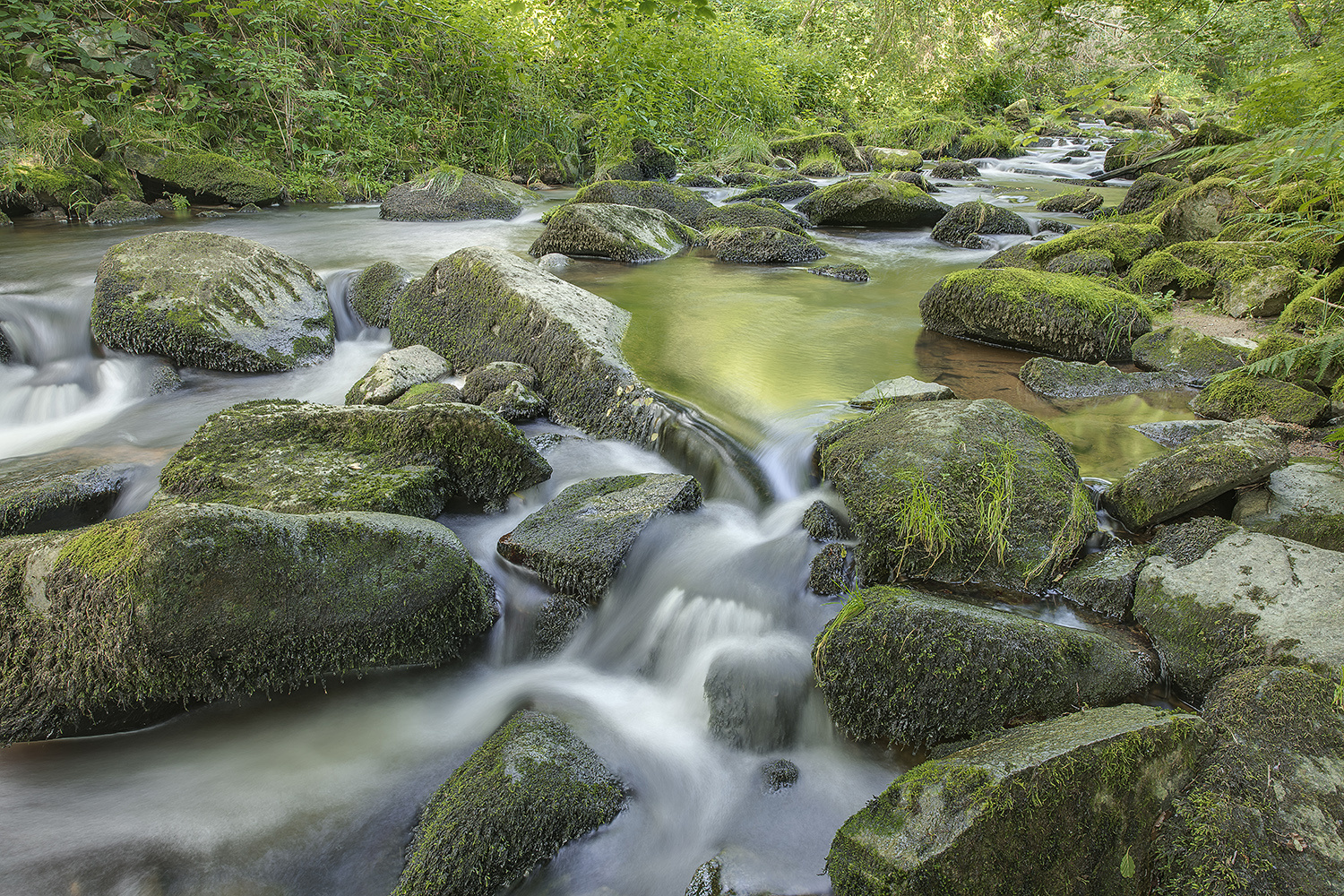 Saussbachklamm