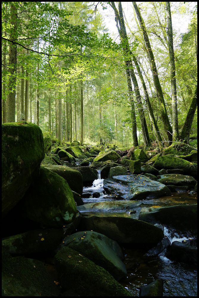 saußbachklamm...