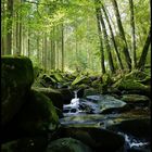 saußbachklamm...