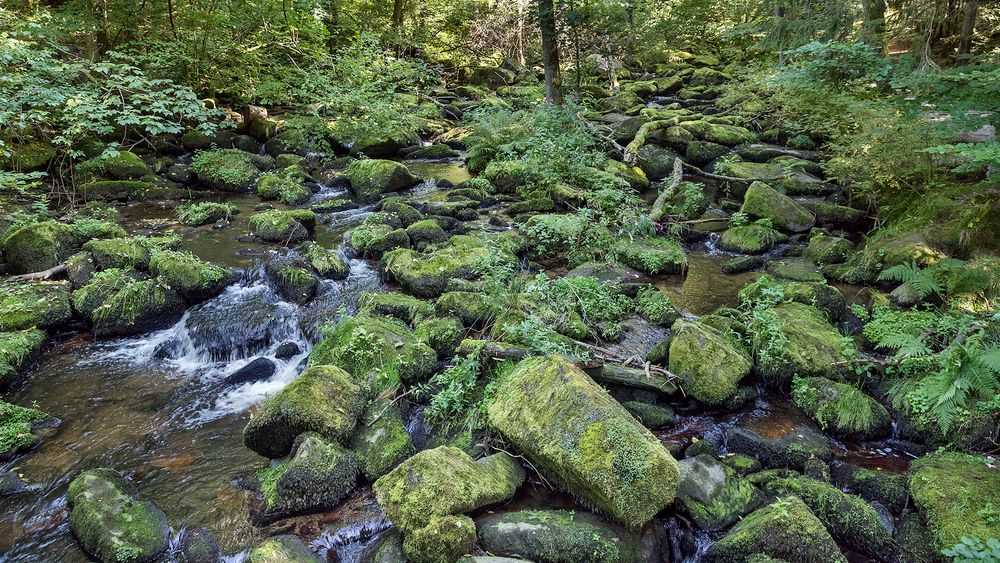 SAUSSBACHKLAMM - Bayerischer Wald  (2)