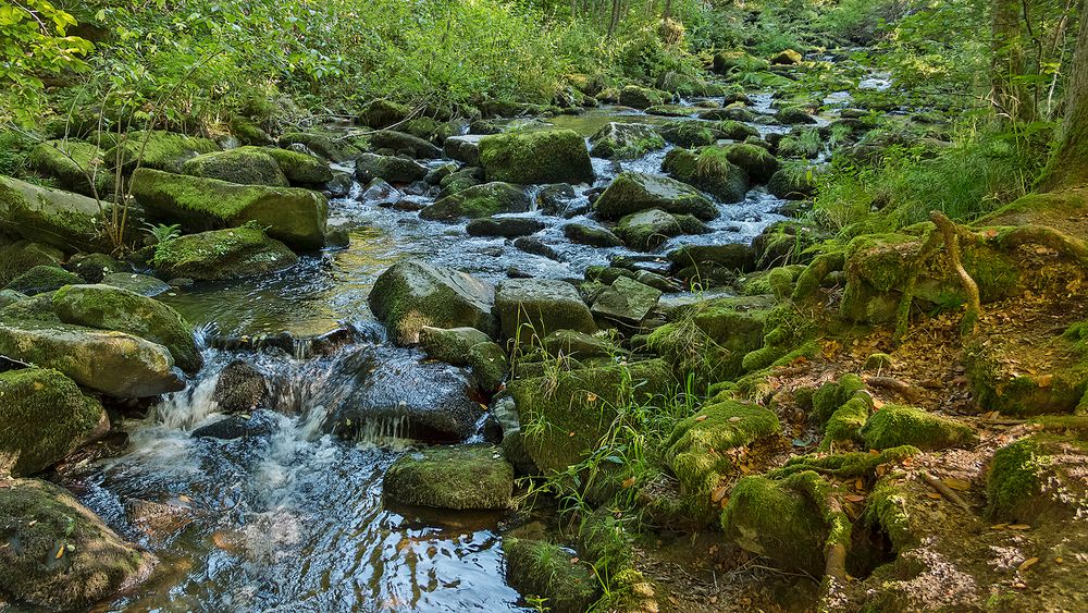 SAUSSBACHKLAMM - Bayerischer Wald  (3)