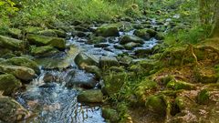 SAUSSBACHKLAMM - Bayerischer Wald  (3)