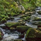 SAUSSBACHKLAMM - Bayerischer Wald