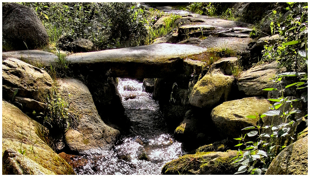 Saußbachklamm - Die Brücke (Color-Edition)