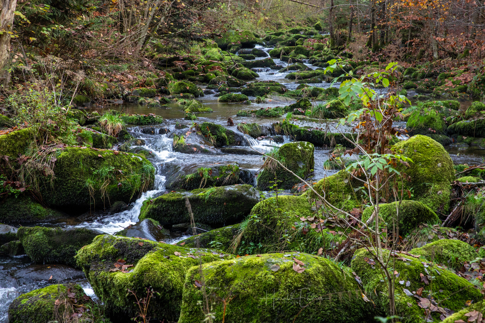 Saußbachklamm