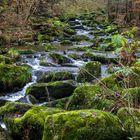 Saußbachklamm