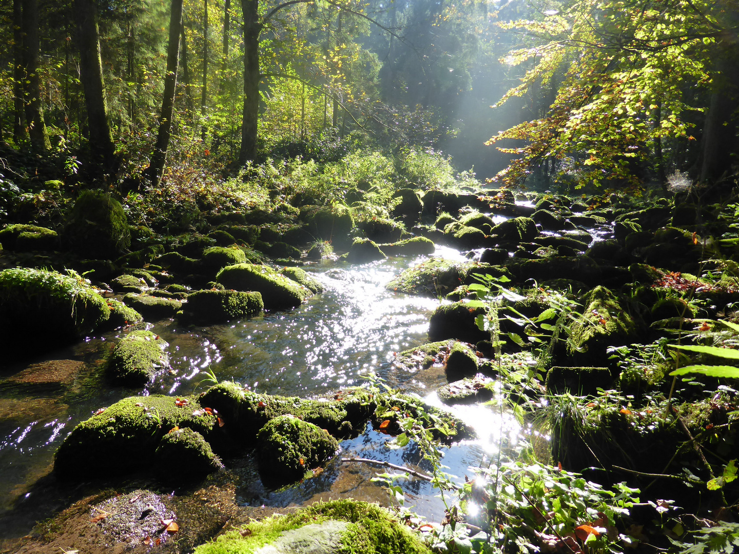 Saußbachklamm in Niederbayern