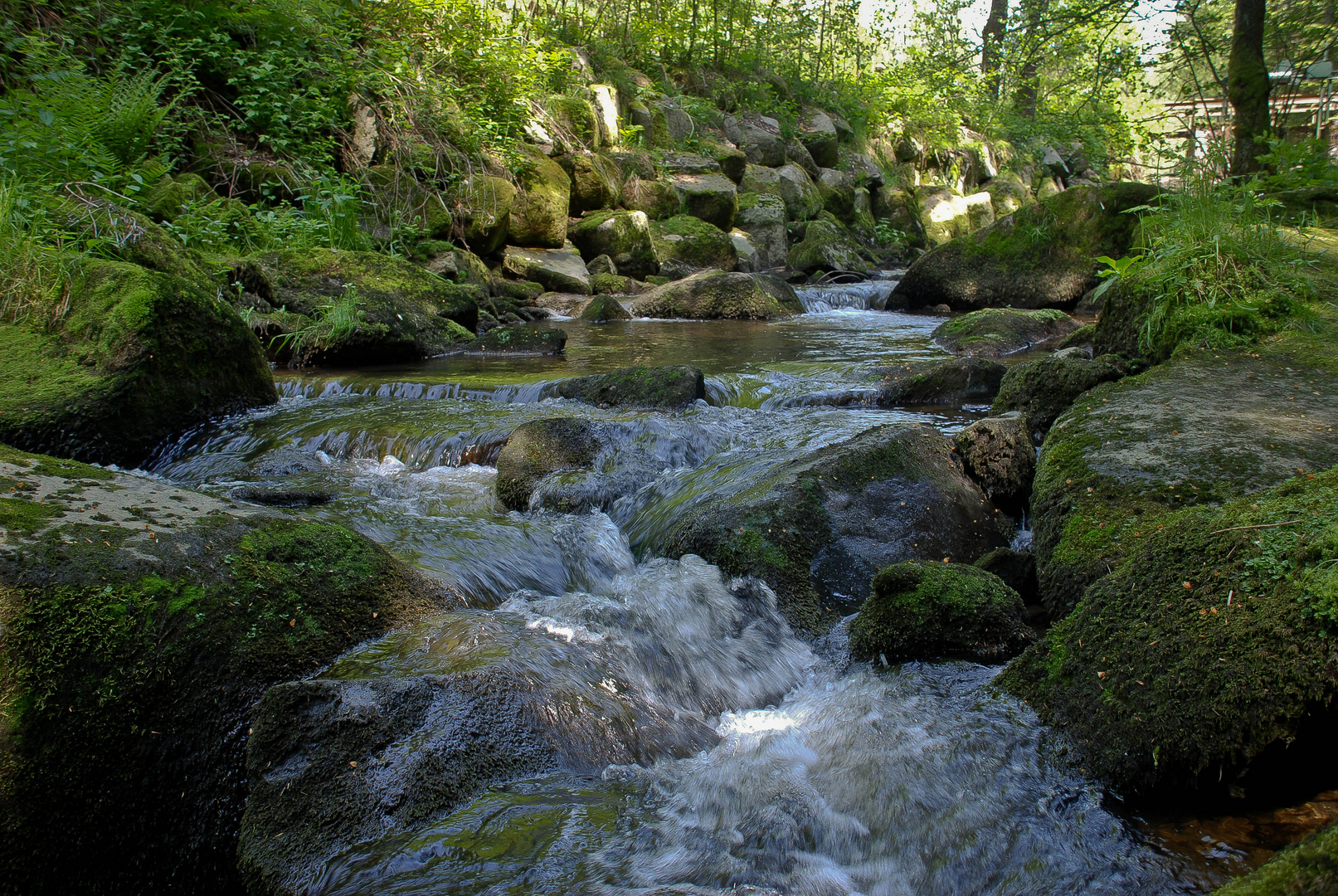 Saußbachklamm Waldkirchen