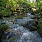 Saußbachklamm Waldkirchen