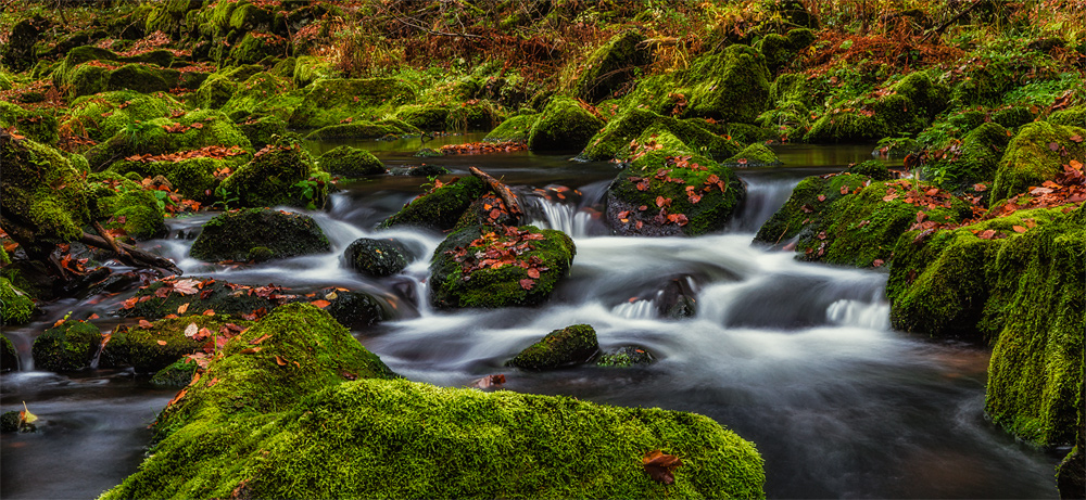 Saußbach_nov2015