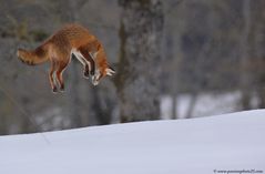 Saut de Géant