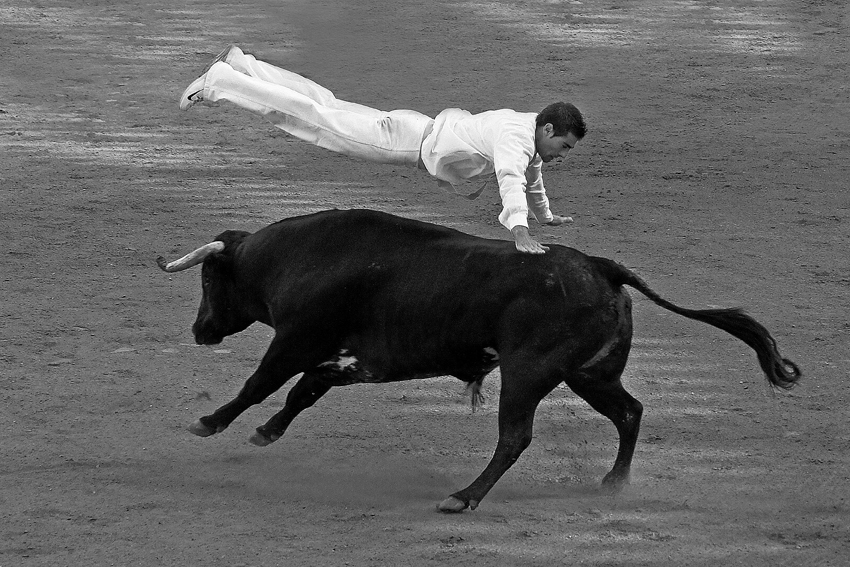 SAUT DE L'ANGE de lalanne 