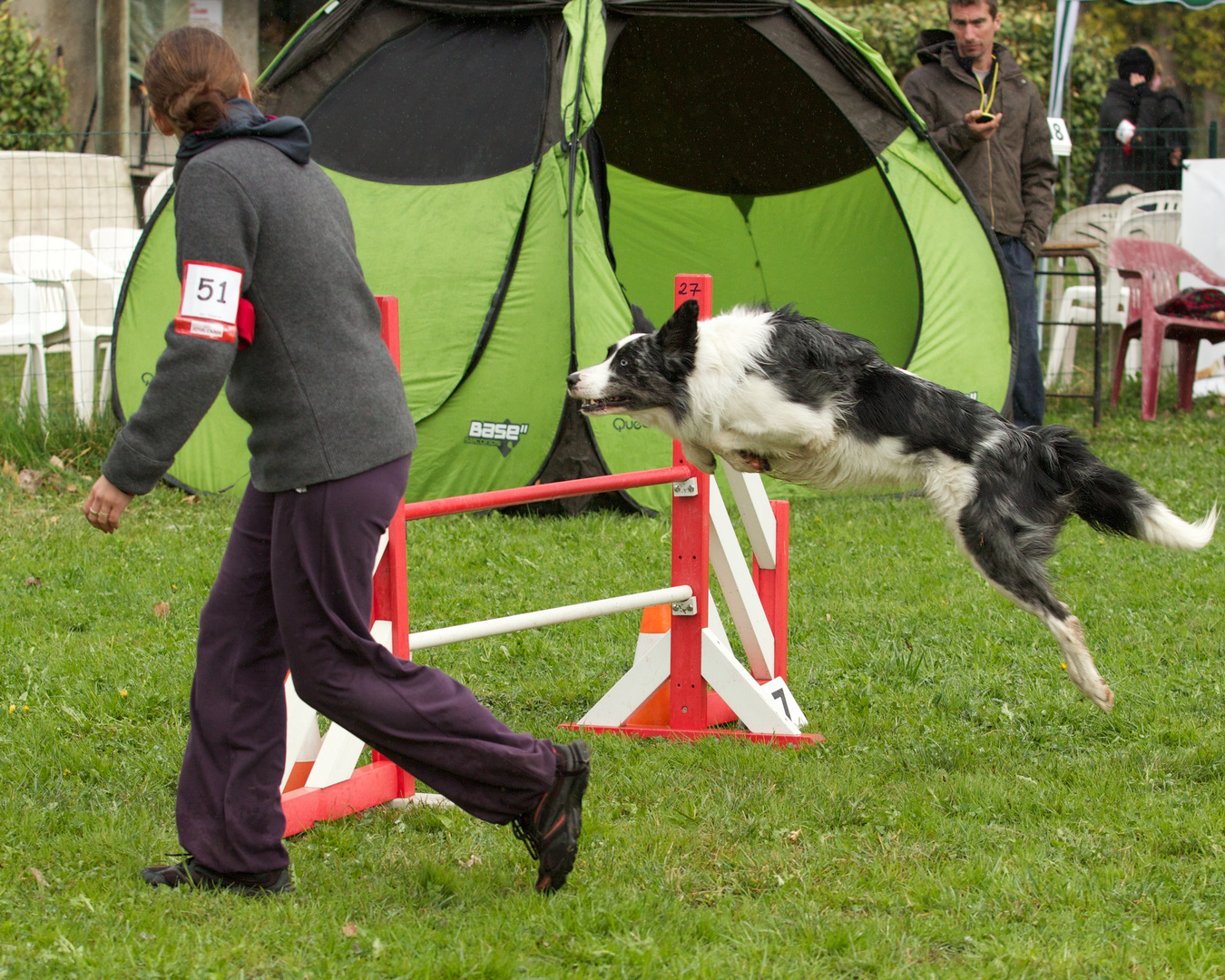 Saut d'obstacle