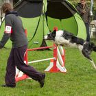 Saut d'obstacle